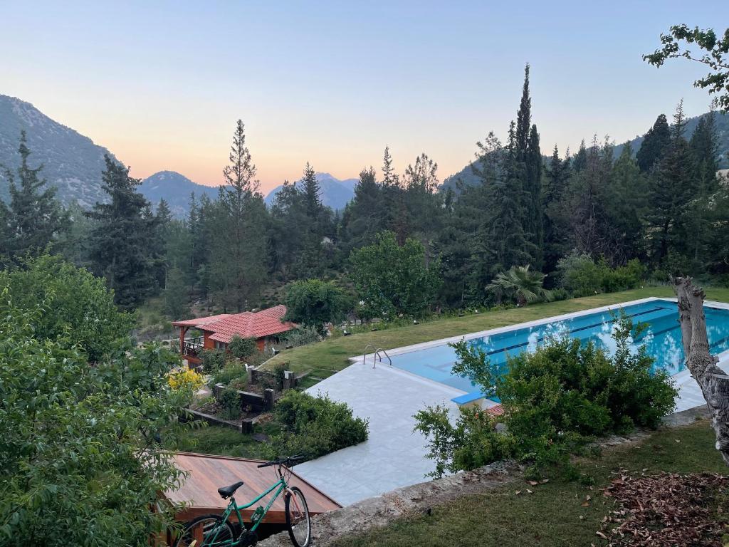 uma vista para uma piscina com montanhas ao fundo em Trinitys Forest Bungalows em Kemer