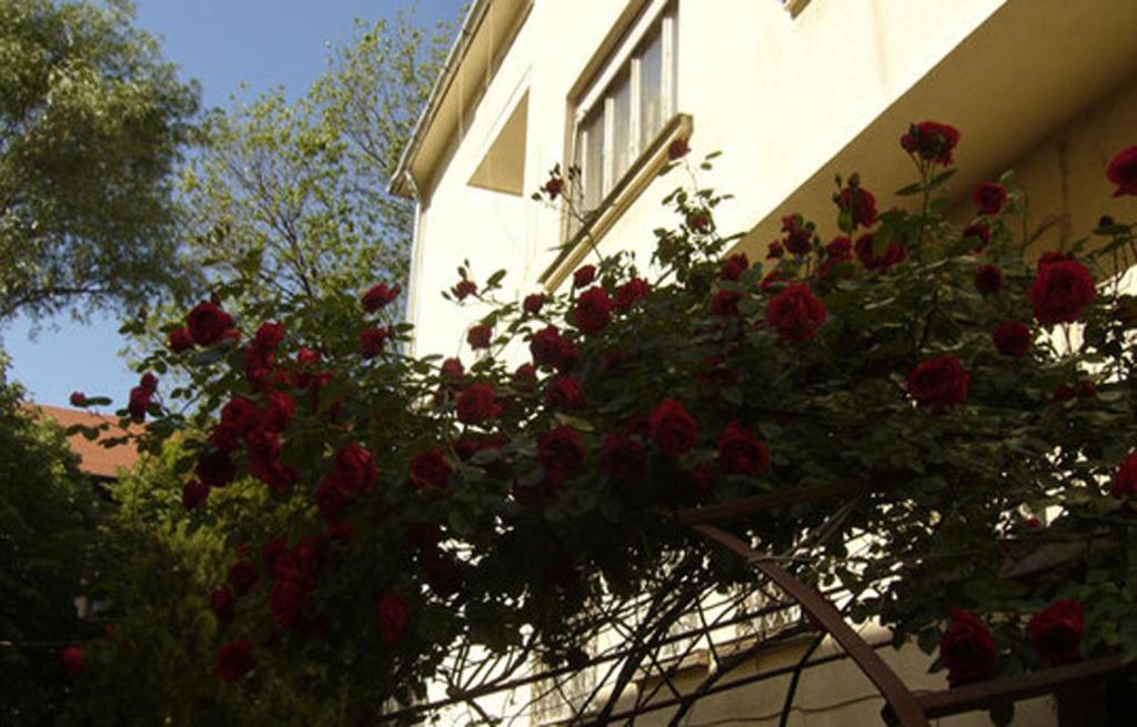 The building in which Az apartmant is located