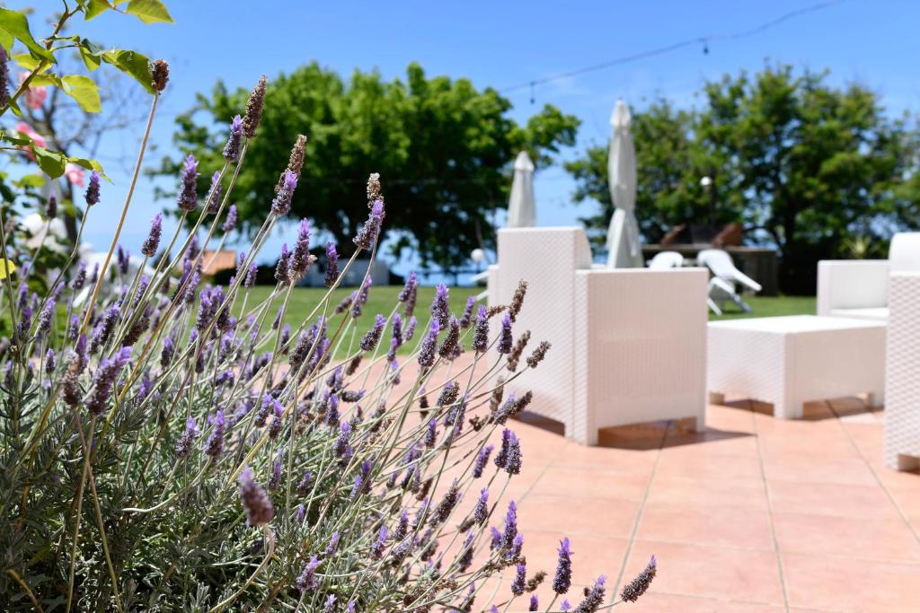 Ogród w obiekcie Villa Catalano
