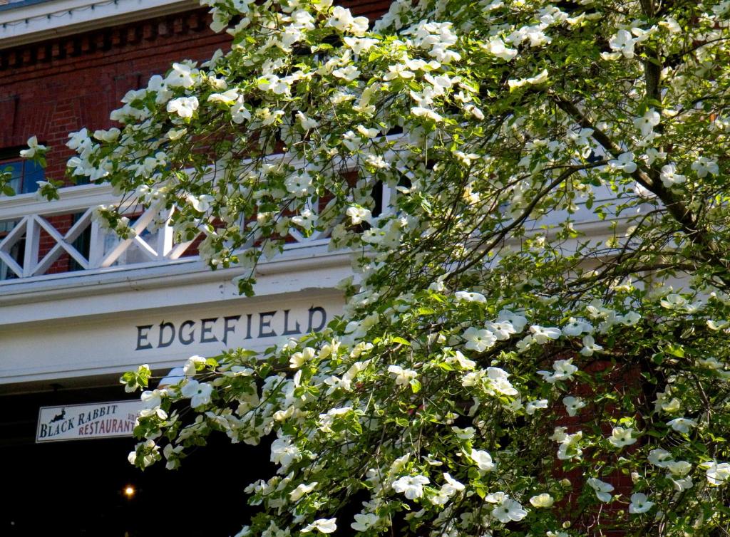 Fotografie z fotogalerie ubytování McMenamins Edgefield v destinaci Troutdale