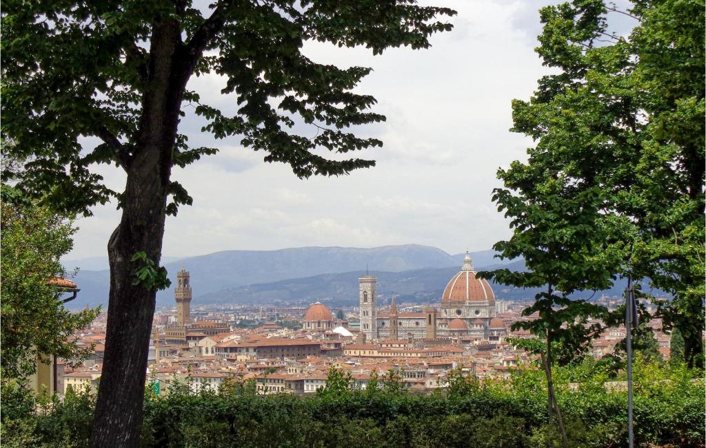 vista sulla città da dietro gli alberi di Appartamento Belle Donne a Firenze