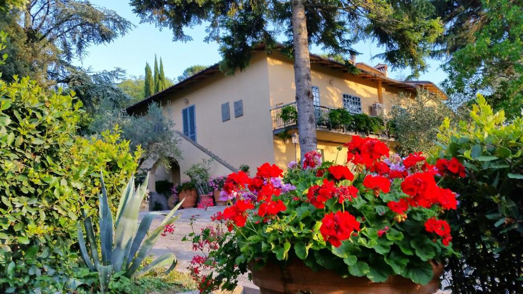 
a garden filled with flowers and plants next to a building at Ulivi di Castello in Florence
