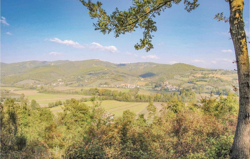 Príroda v okolí dovolenkového domu