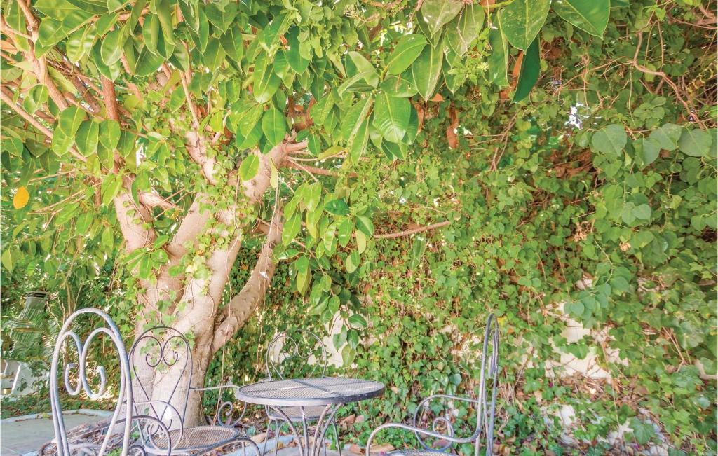 Ogród w obiekcie 7 Bedroom Amazing Home In Mijas Costa