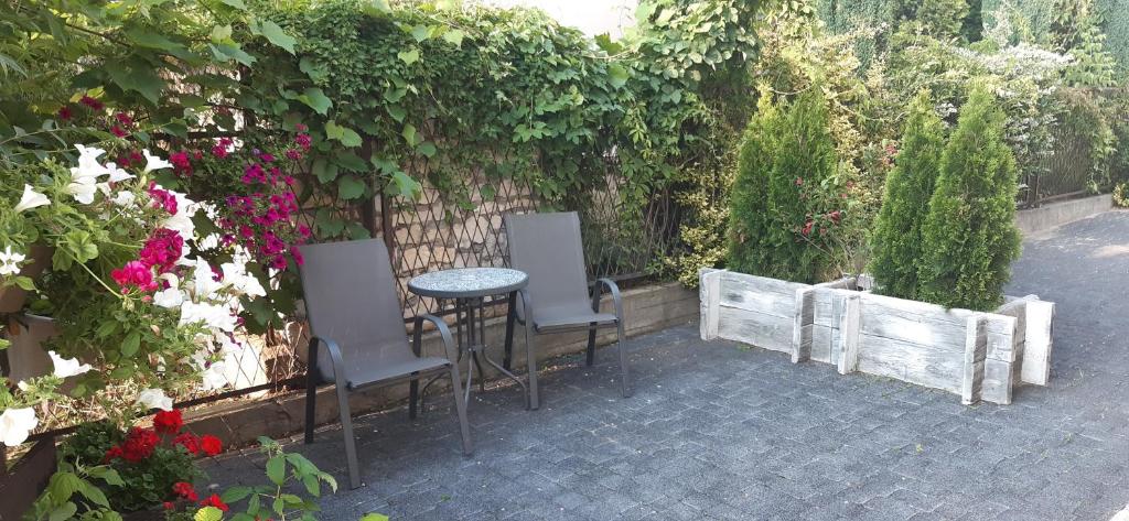 Kameralne Studio w centrum Częstochowy - 12