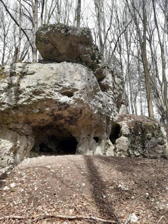 Kameralne Studio w centrum Częstochowy - 15