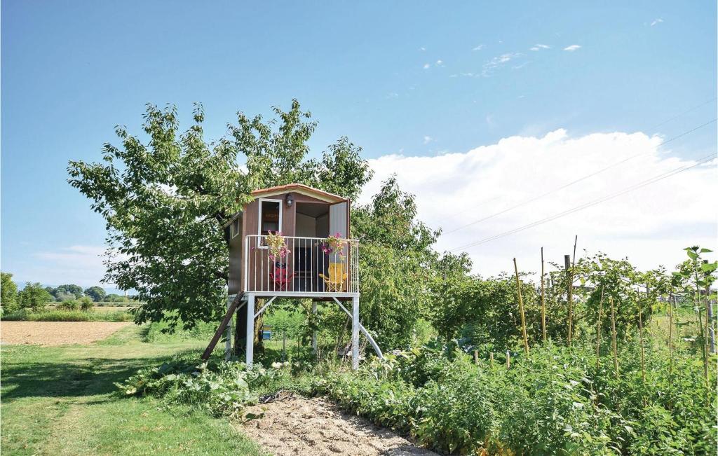 Vonkajšia záhrada v ubytovaní La Casa Delle Api