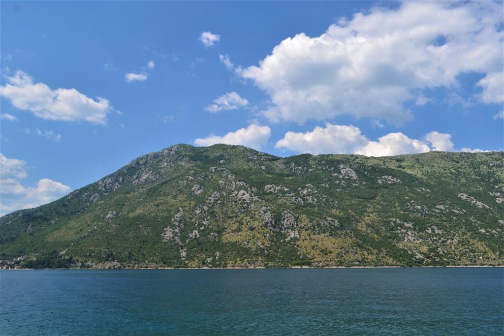 a mountain on the shore of a body of water at Apartments Djurovic in Kotor