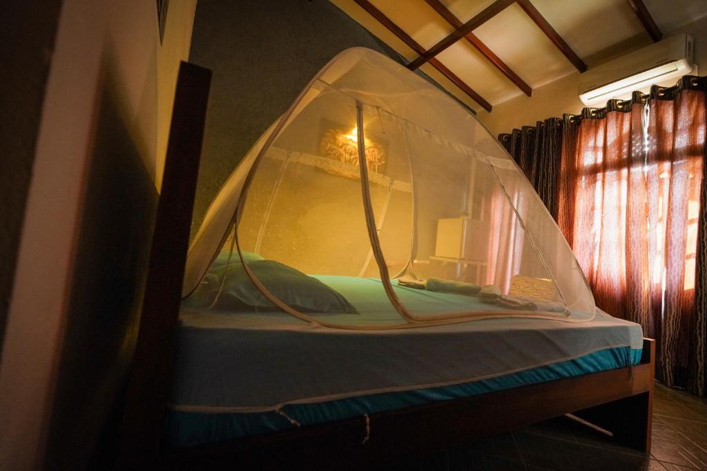 Lilly Palace Villa Guest House - 2