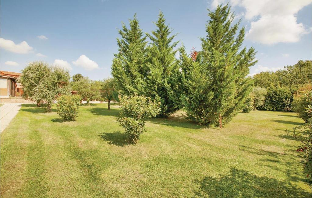 Zahrada ubytování Corte Ponziani 3