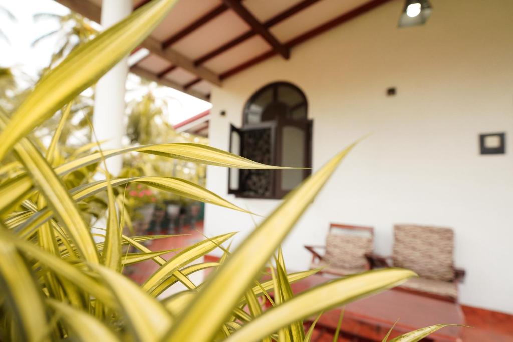 Lilly Palace Villa Guest House - 14