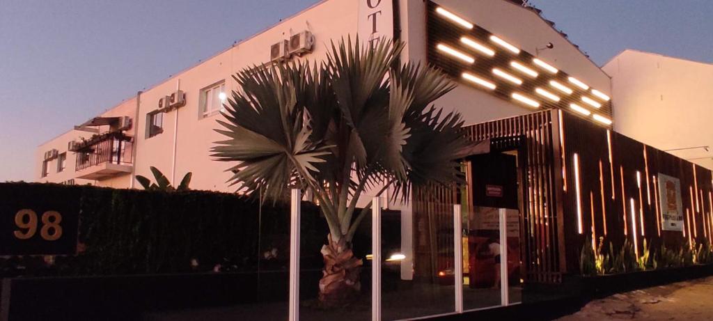 a building with a palm tree in front of it at Vespasiano Hotel Telêmaco Borba in Telêmaco Borba