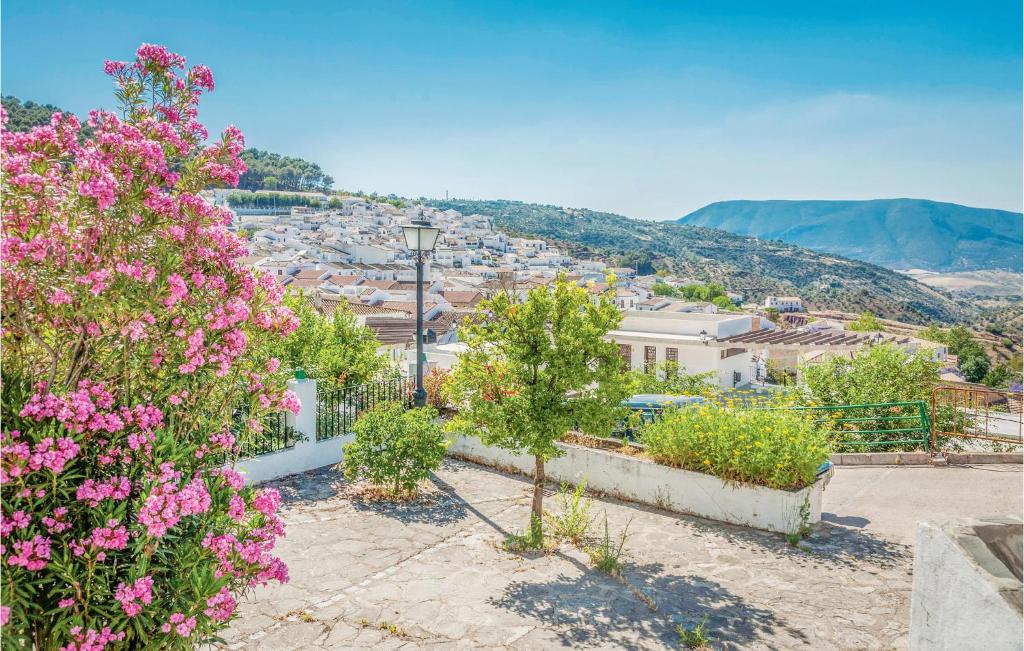 a view of a city from a hill with flowers at Awesome Home In El Gastor With 3 Bedrooms, Wifi And Outdoor Swimming Pool in El Gastor