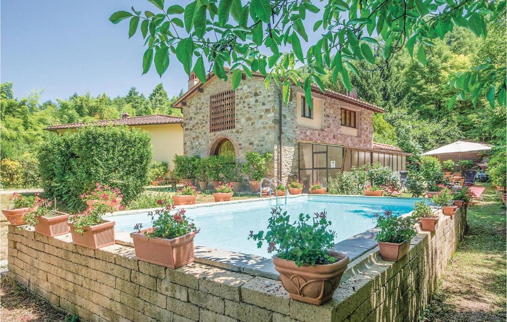 a swimming pool in front of a house with potted plants at Stunning Home In Molino Del Piano Fi With Wifi in Molino del Piano