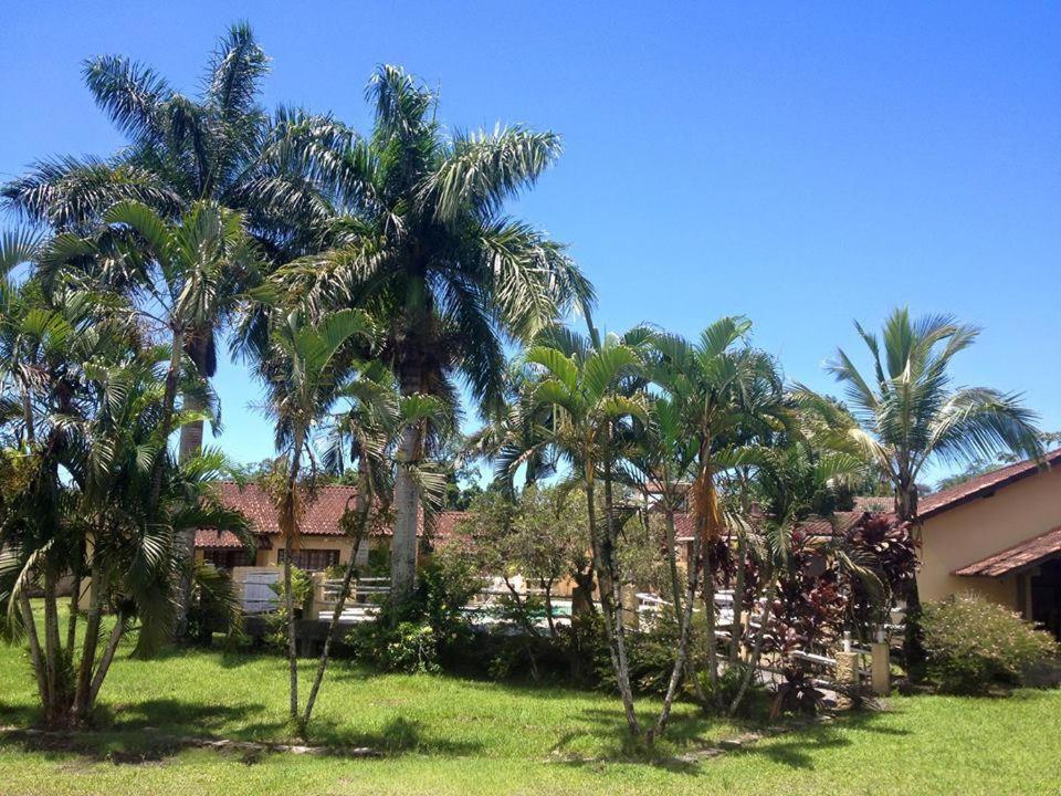 a group of palm trees in front of a house at Camburi Chalés in Camburi