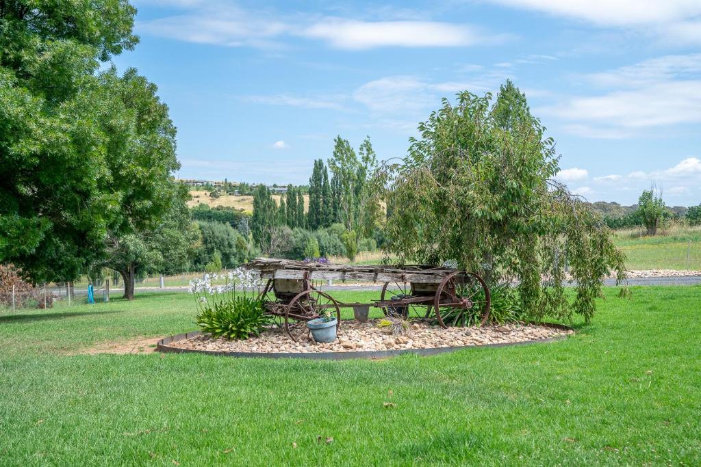 una mesa de picnic en la hierba en un parque en "Wiltara" Estate Rural Escape for 2 to 14 Guests en Orange