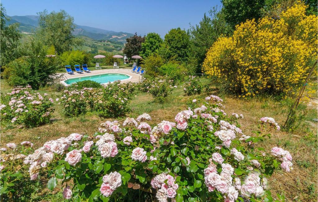 a garden with pink roses and a swimming pool at Rondine in Smirra