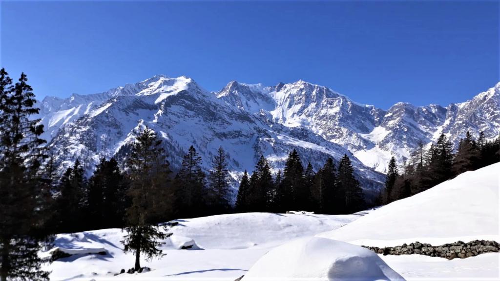 a snow covered mountain range with trees in the foreground at Im Spiss in Macugnaga