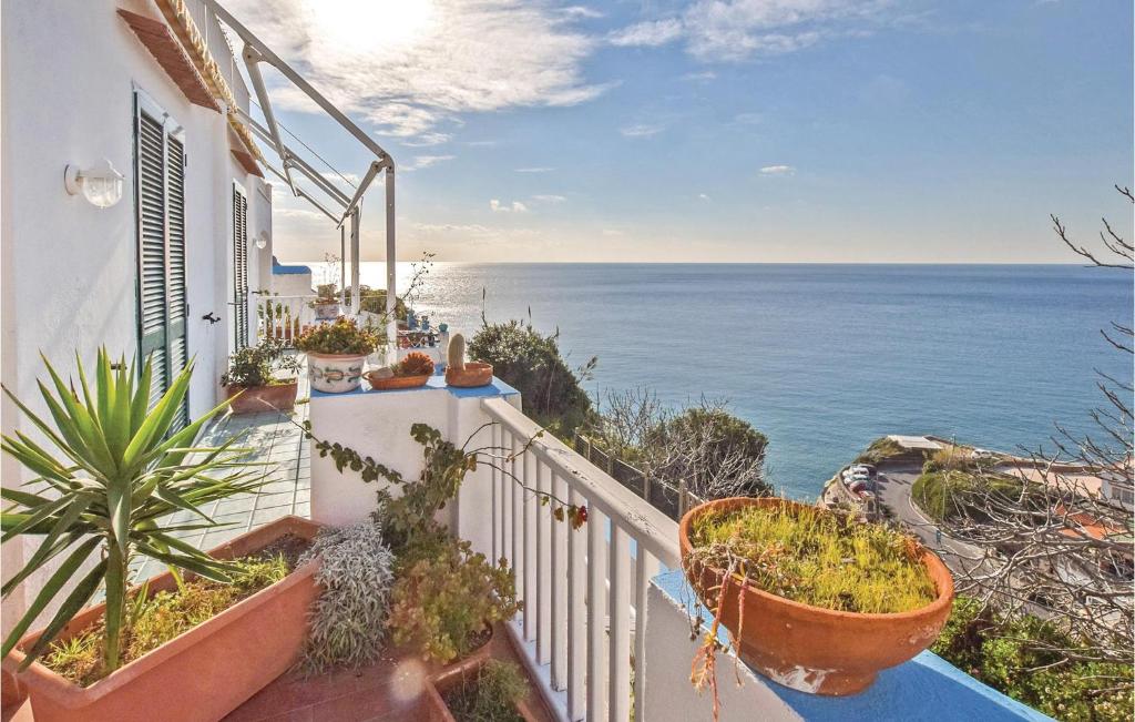 einen Balkon mit Pflanzen und Meerblick in der Unterkunft Amazing Apartment In Santangelo Dischia With House Sea View in Ischia