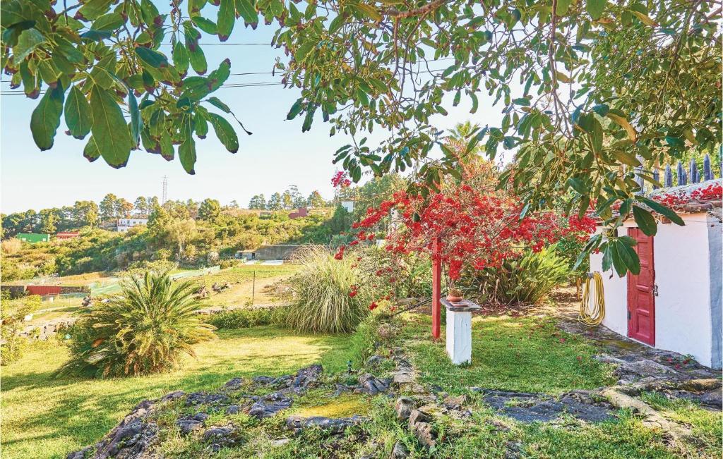 Zahrada ubytování Casa Los Pinos