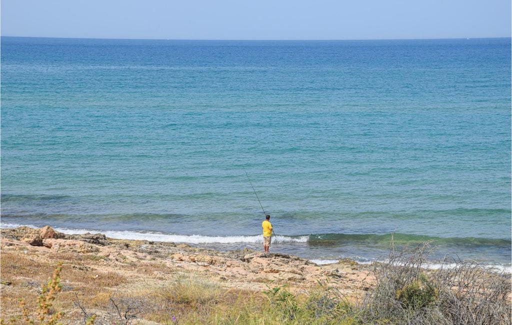 Táj Show holiday homes közelében