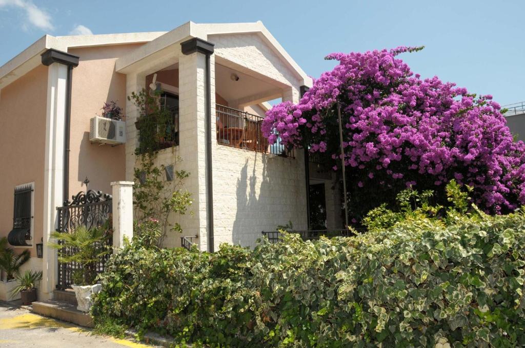 uma casa com flores roxas ao lado em Villa Danile Cosy Apartments em Budva