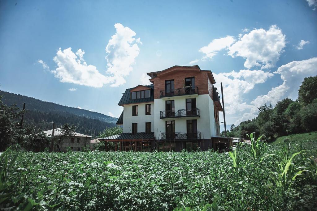 Příroda nedaleko hotelu