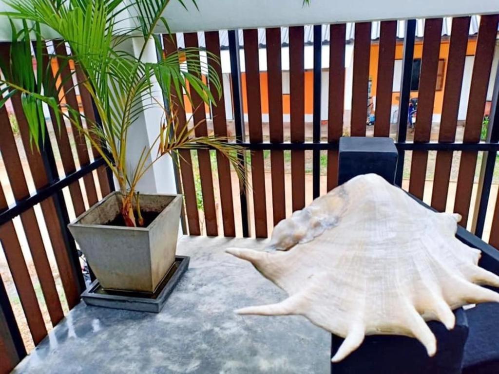 Lanta smile inn - 12