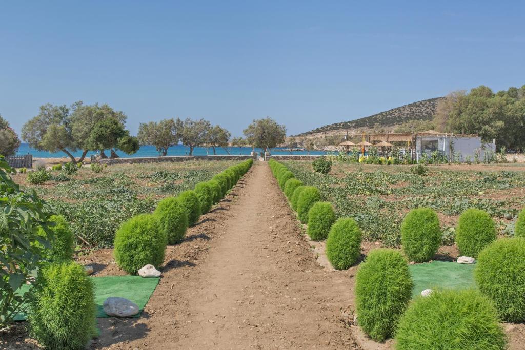 seaside Ktima KaParos PAROS - 豪华别墅