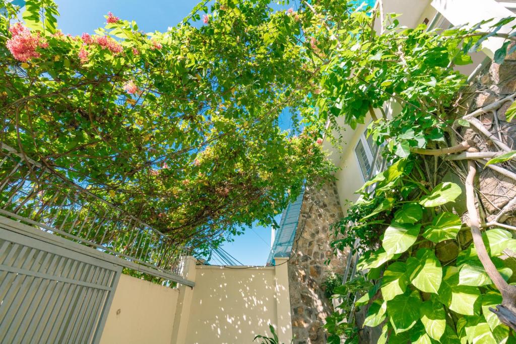 PALM Homestay Vung Tau