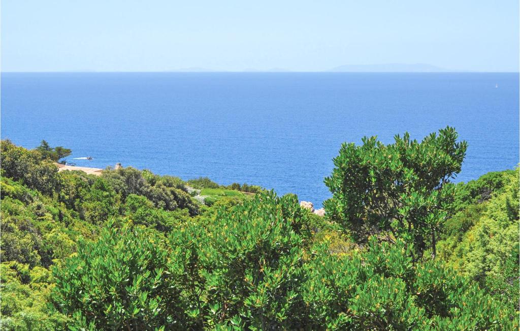widok na ocean z wzgórza z drzewami w obiekcie La Casetta w mieście Costa Paradiso
