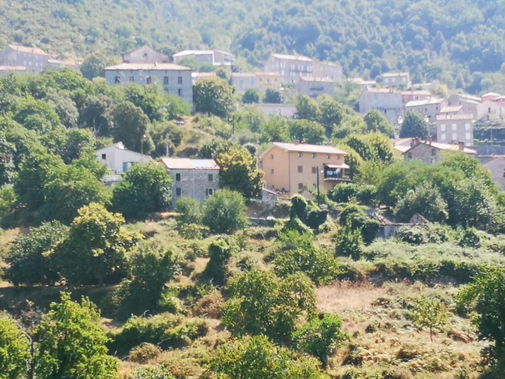 een klein stadje op een heuvel met bomen en huizen bij Maison de village avec jardin privatif in Zicavo