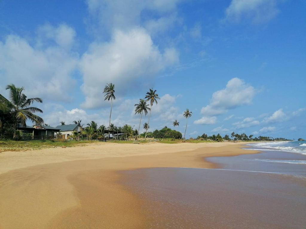 uma vista para uma praia com palmeiras e para o oceano em Afro Beach Eco Resort Butre em Butre