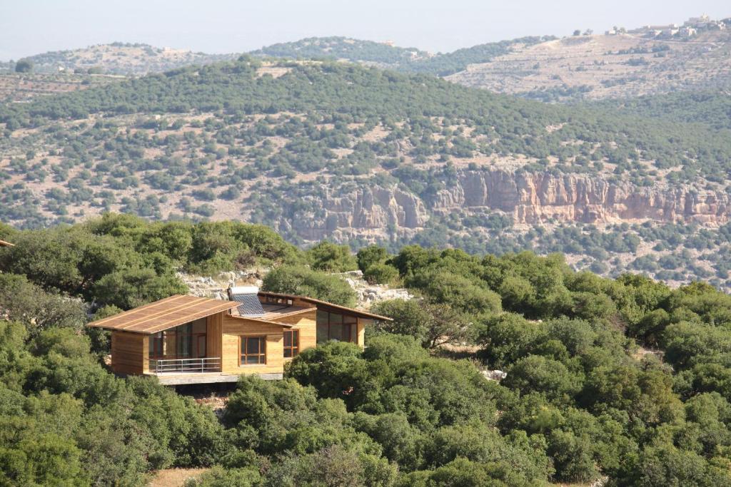 Ajloun Forest Reserve, Jerash – Updated 2023 Prices