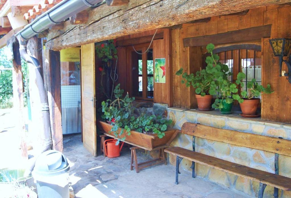 Fotografie z fotogalerie ubytování Camping Aín Jaca v destinaci Jaca