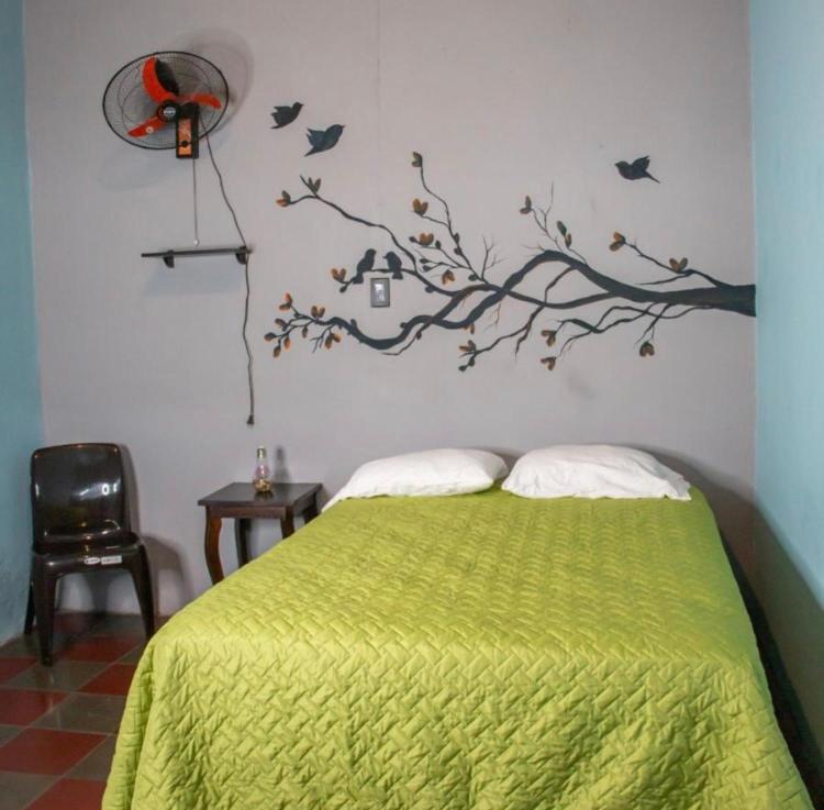 a bedroom with a green bed with birds on the wall at Hostal Casa Luna in Santa Ana