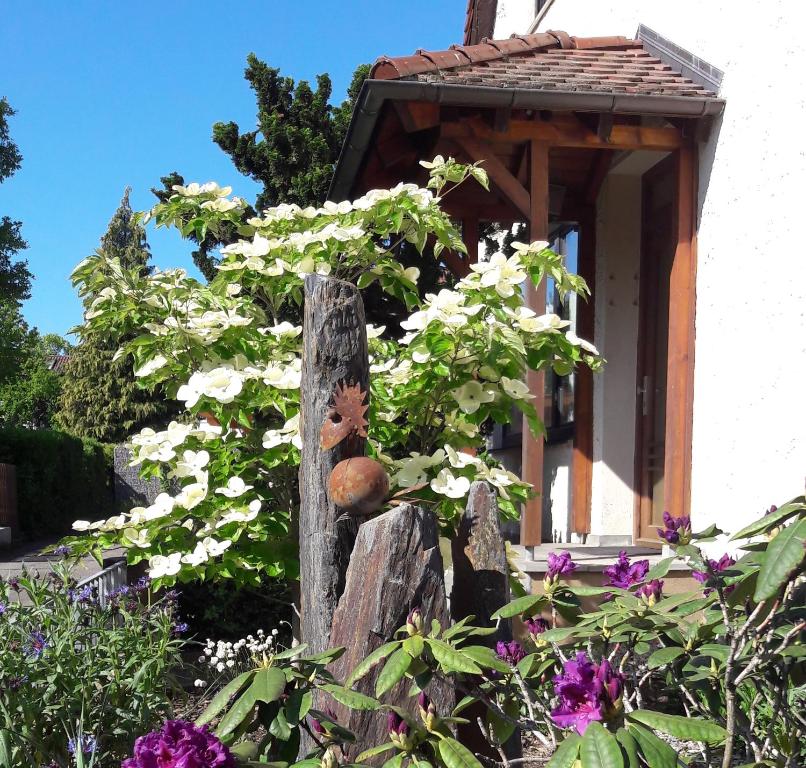 un giardino fiorito di fronte a una casa di Fremdenzimmer Familie Förster a Villingen-Schwenningen