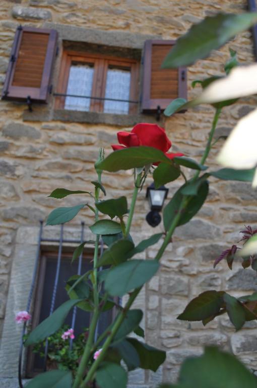 Casa Vacanze Le Antiche Pietre - Maison De Vacances