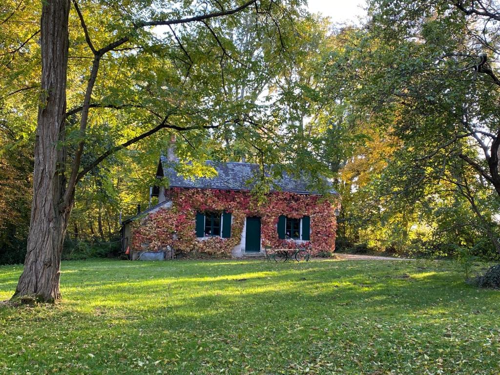 Zahrada ubytování B&B Château de Preuil