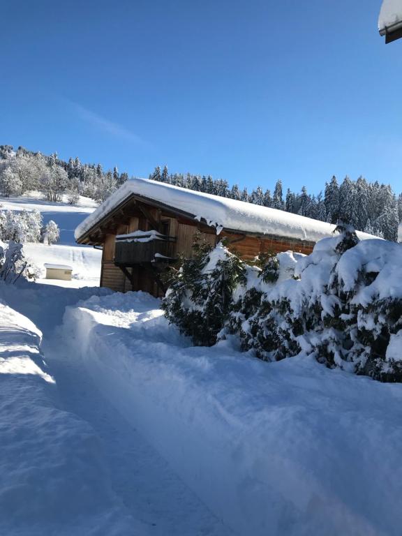 冬のChalet Du Pont D Arbonの様子