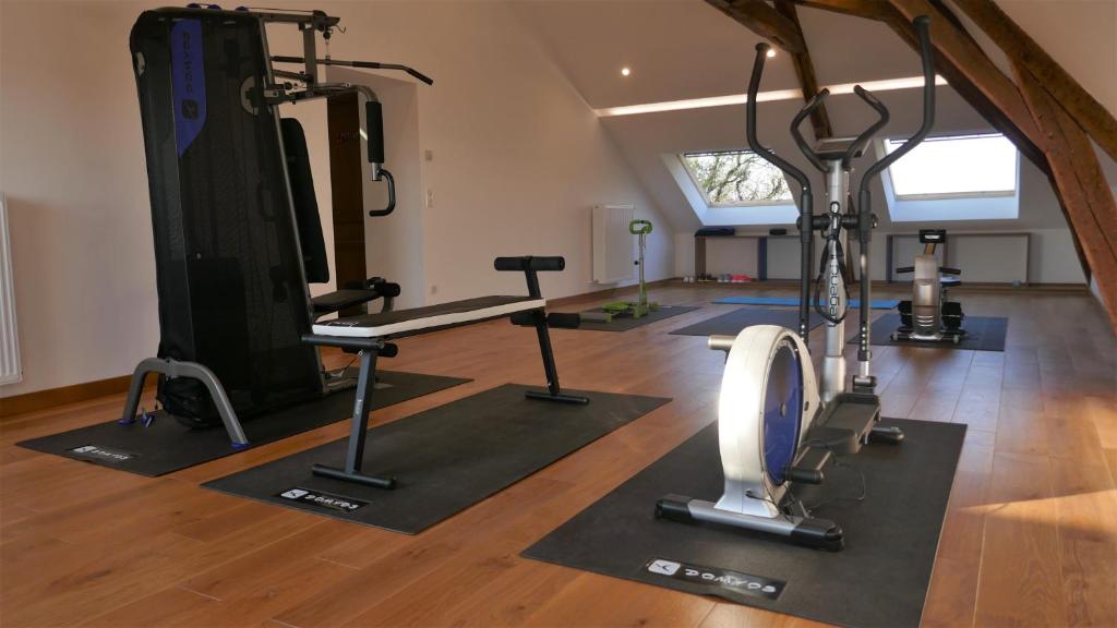 Fitness centrum a/nebo fitness zařízení v ubytování B&B Château de Preuil