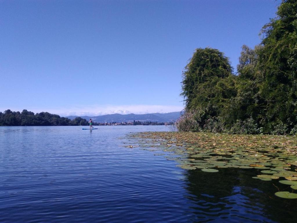 a lake with lily pads on the water at CASA DEL LAGO in Travedona