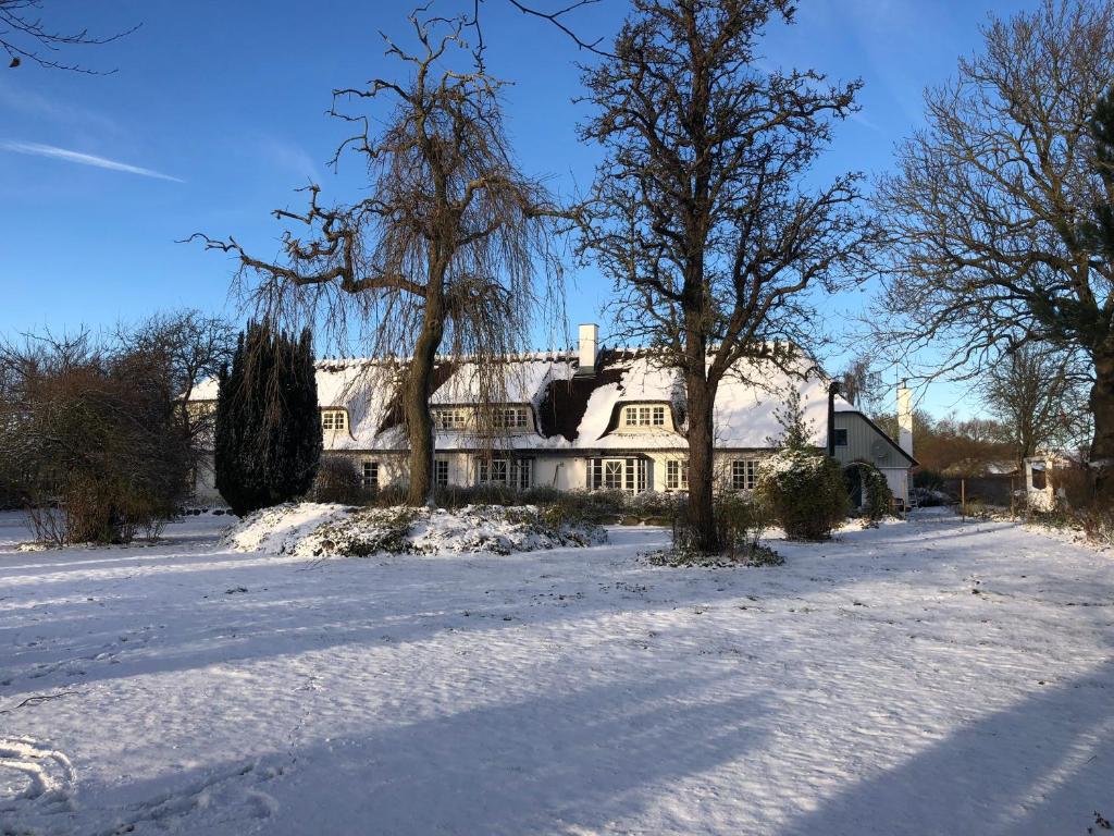 duży biały dom w śniegu z drzewami w obiekcie Rane Ladegaard w mieście Ebeltoft