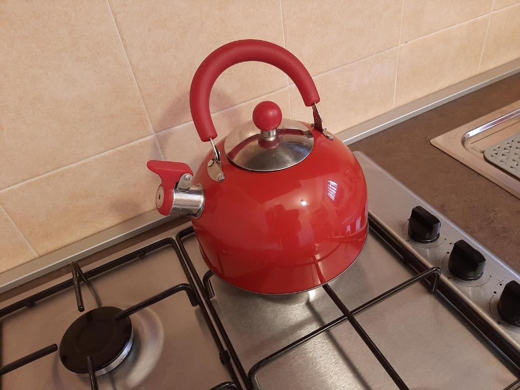 Kuchyňa alebo kuchynka v ubytovaní House Vittone Venaria Reale
