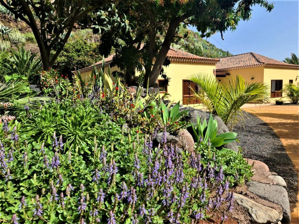 Zahrada ubytování Haciendita Gomera