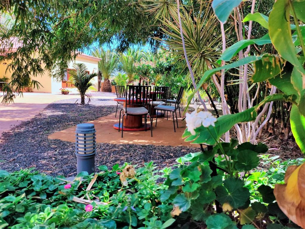 Zahrada ubytování Haciendita Gomera