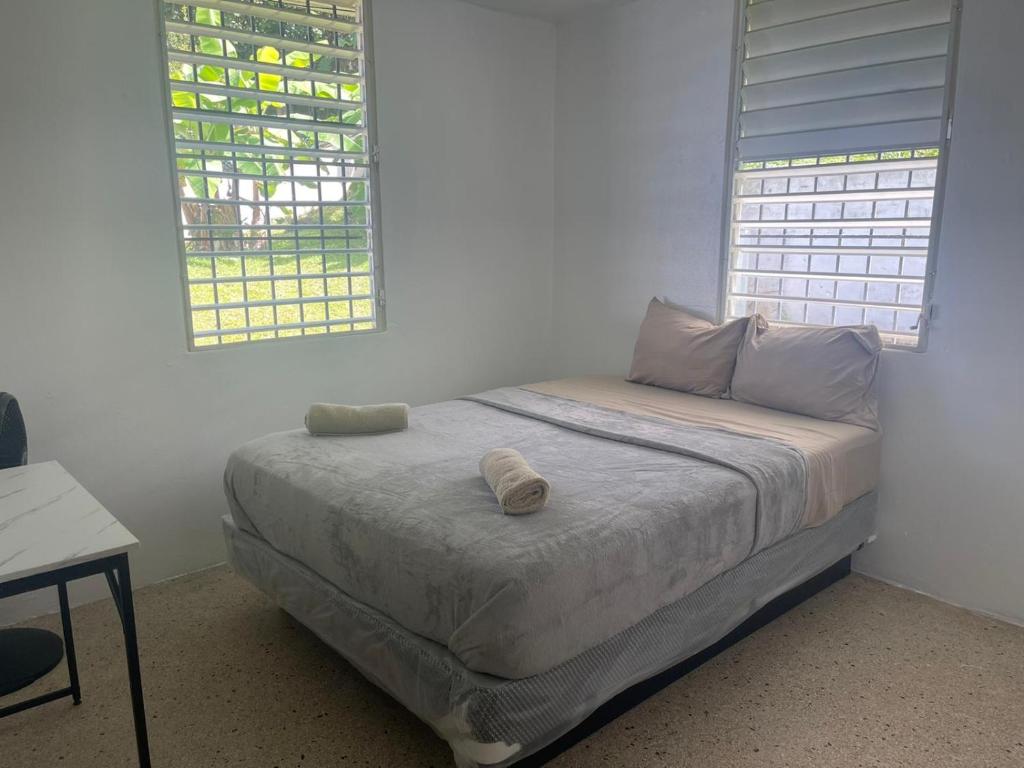 a bedroom with a bed and two windows at Bayamon Puerto Rico 3 Bedroom Home in Bayamón