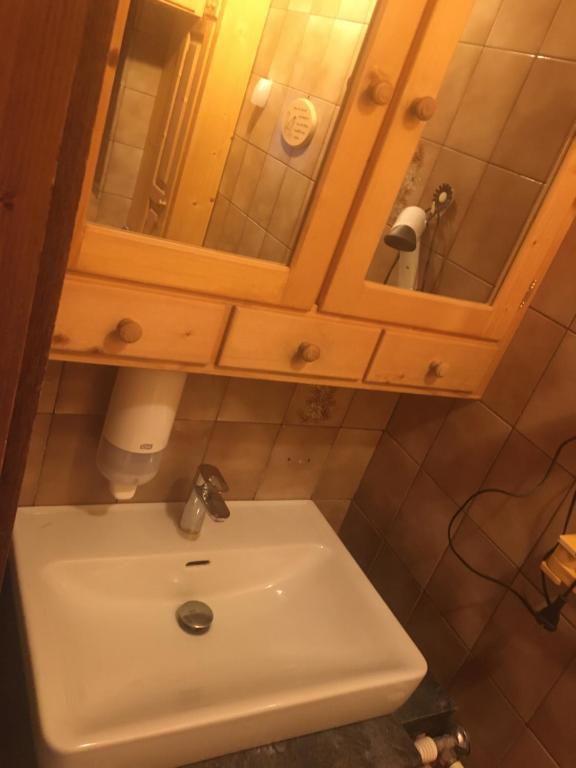 Koupelna v ubytování Apartment Peterl