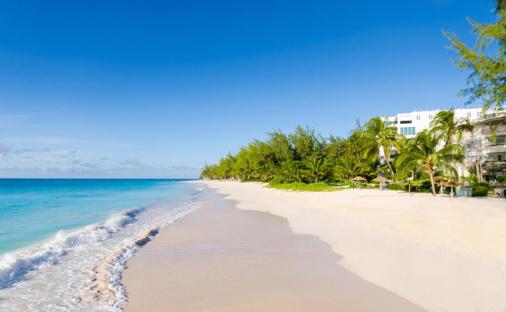 a beach with palm trees and the ocean at Bougainvillea Barbados in Christ Church