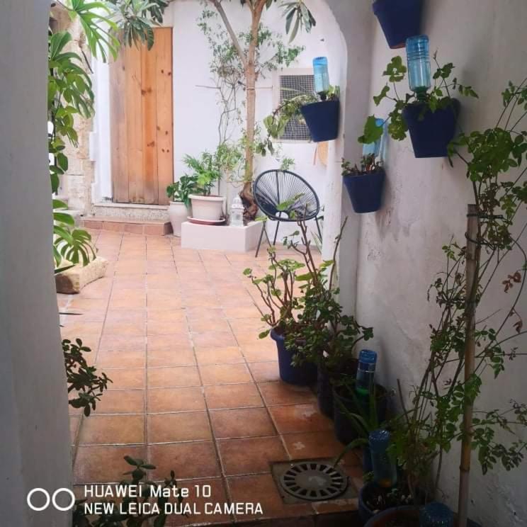 Vonkajšia záhrada v ubytovaní Besara Vejer